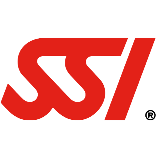 SSI Logo